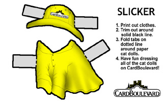rain slicker outfit