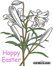 Easter Lilly,  Happy Easter