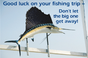 marlin