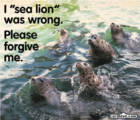 sealions